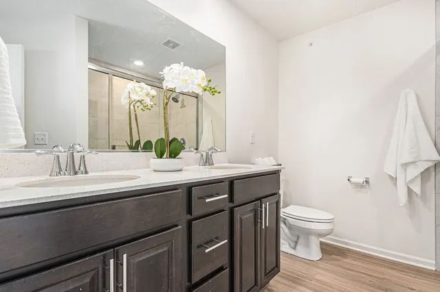 a bathroom with a double vanity sink toilet and a mirror