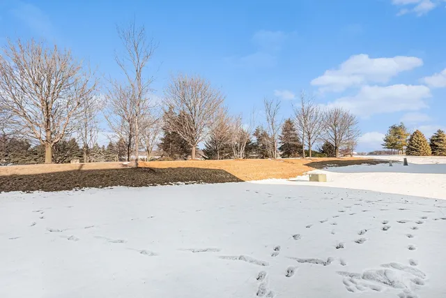 a view of road with snow on the background