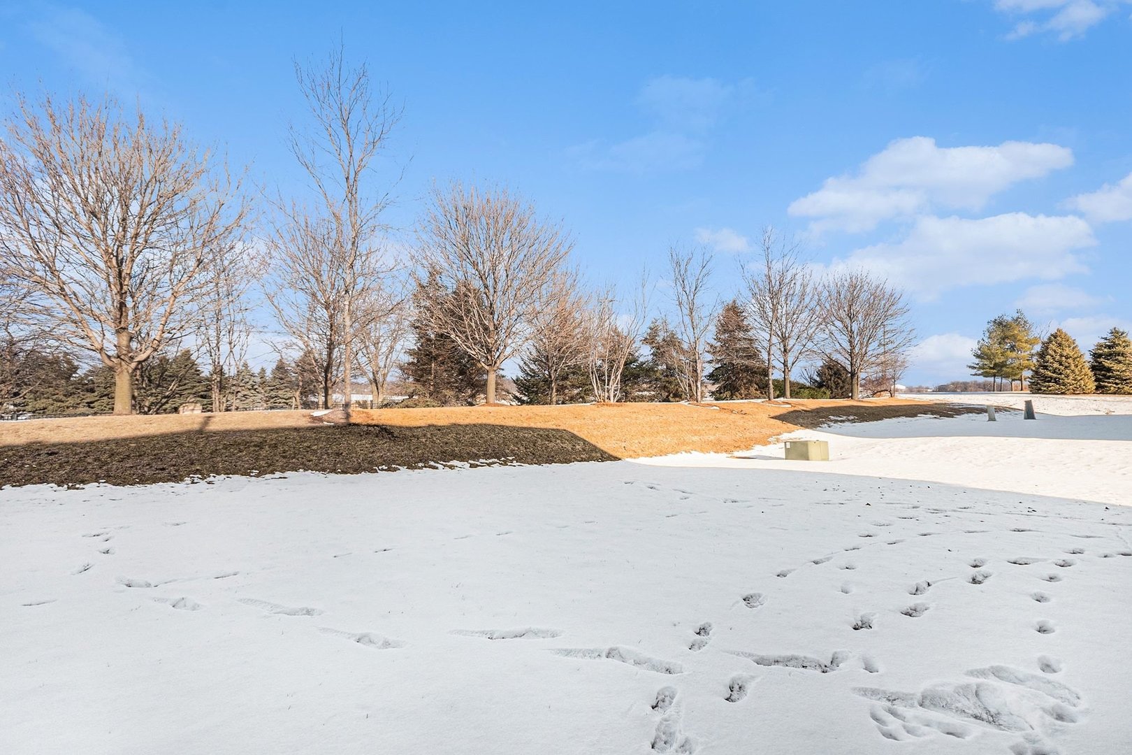 1848 Wren Road Yorkville, IL 60560 - Photo 29 of 30