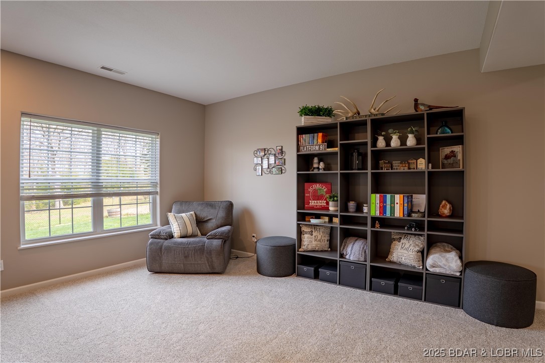 4715 Inlet Lane Osage Beach, MO 65065 - Photo 28 of 50