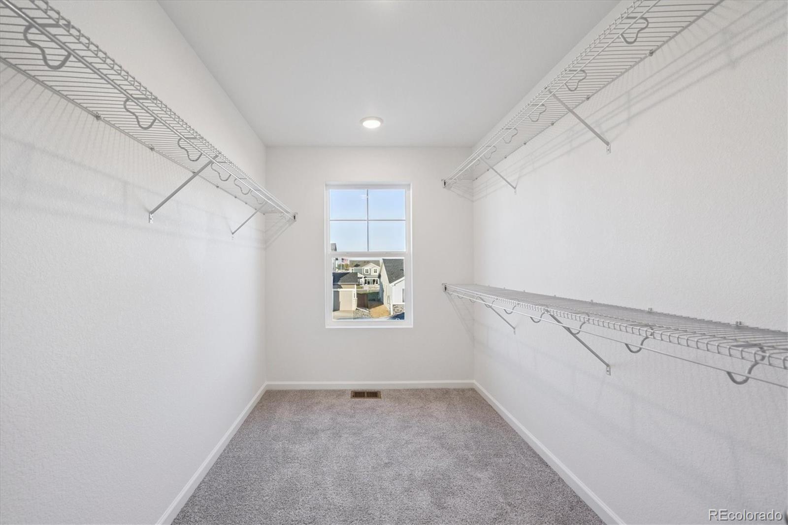 5594 Brangus Drive Windsor, CO 80528 - Photo 20 of 22 a view of room and window