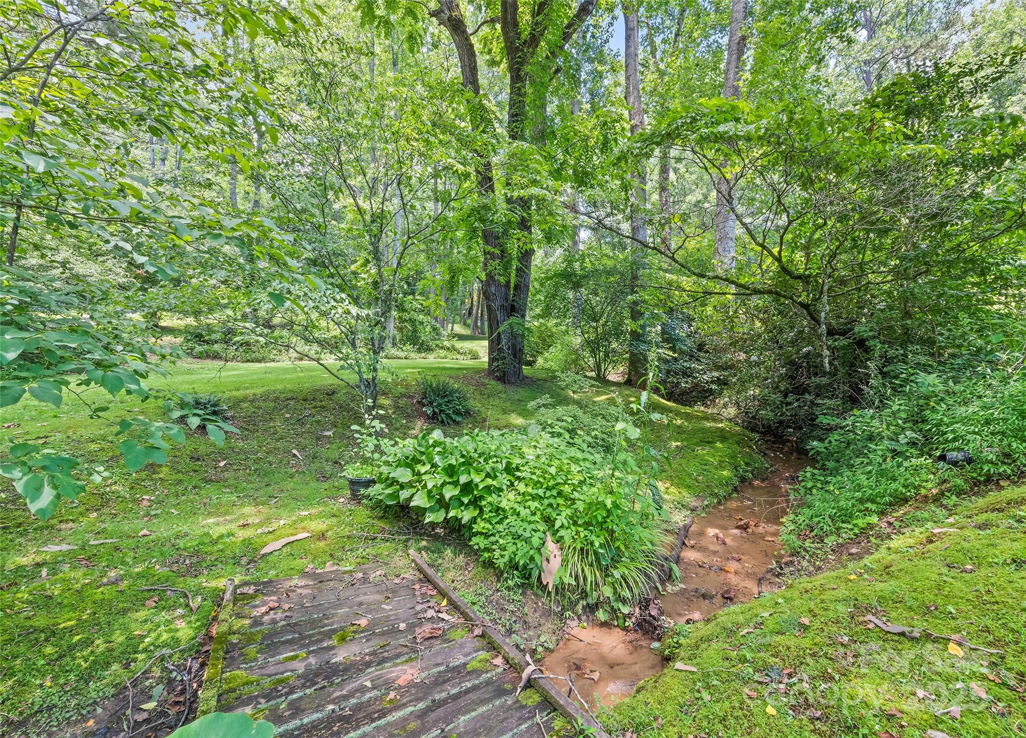 975 Buchanan Loop Sylva, NC 28779 - Photo 3 of 41 Gallery Image 3