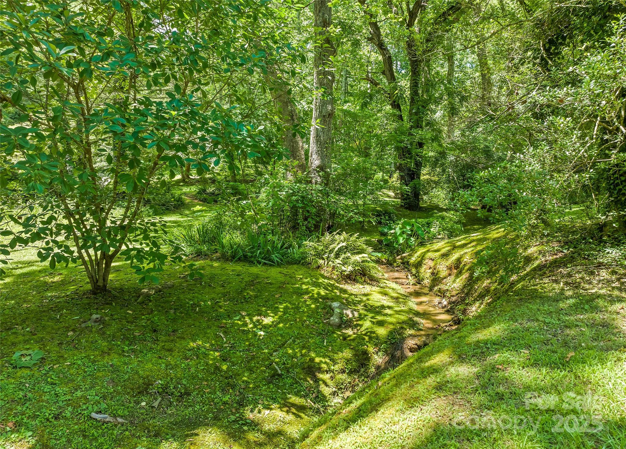 975 Buchanan Loop Sylva, NC 28779 - Photo 37 of 41 Gallery Image 37