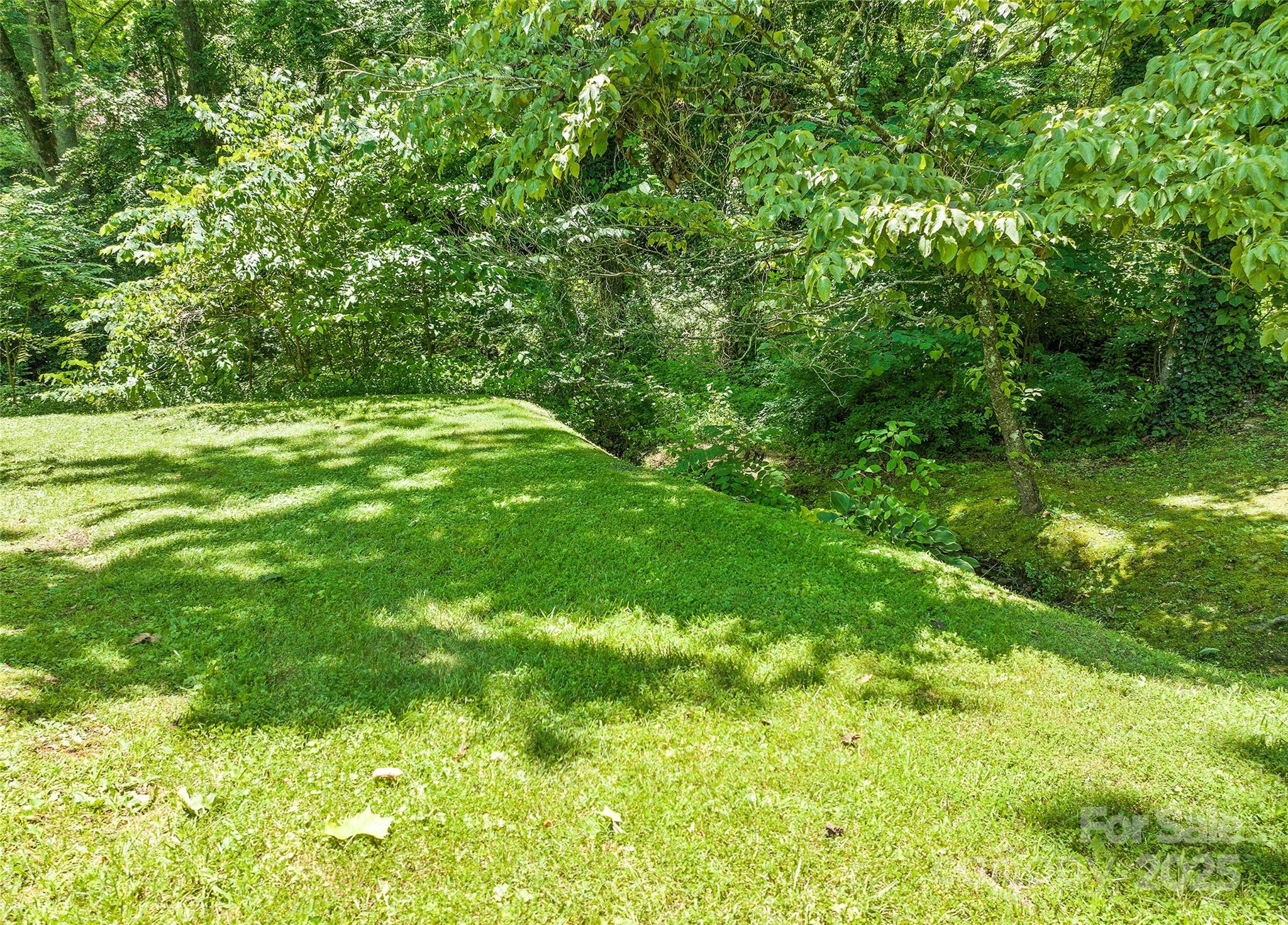 975 Buchanan Loop Sylva, NC 28779 - Photo 39 of 41 Gallery Image 39