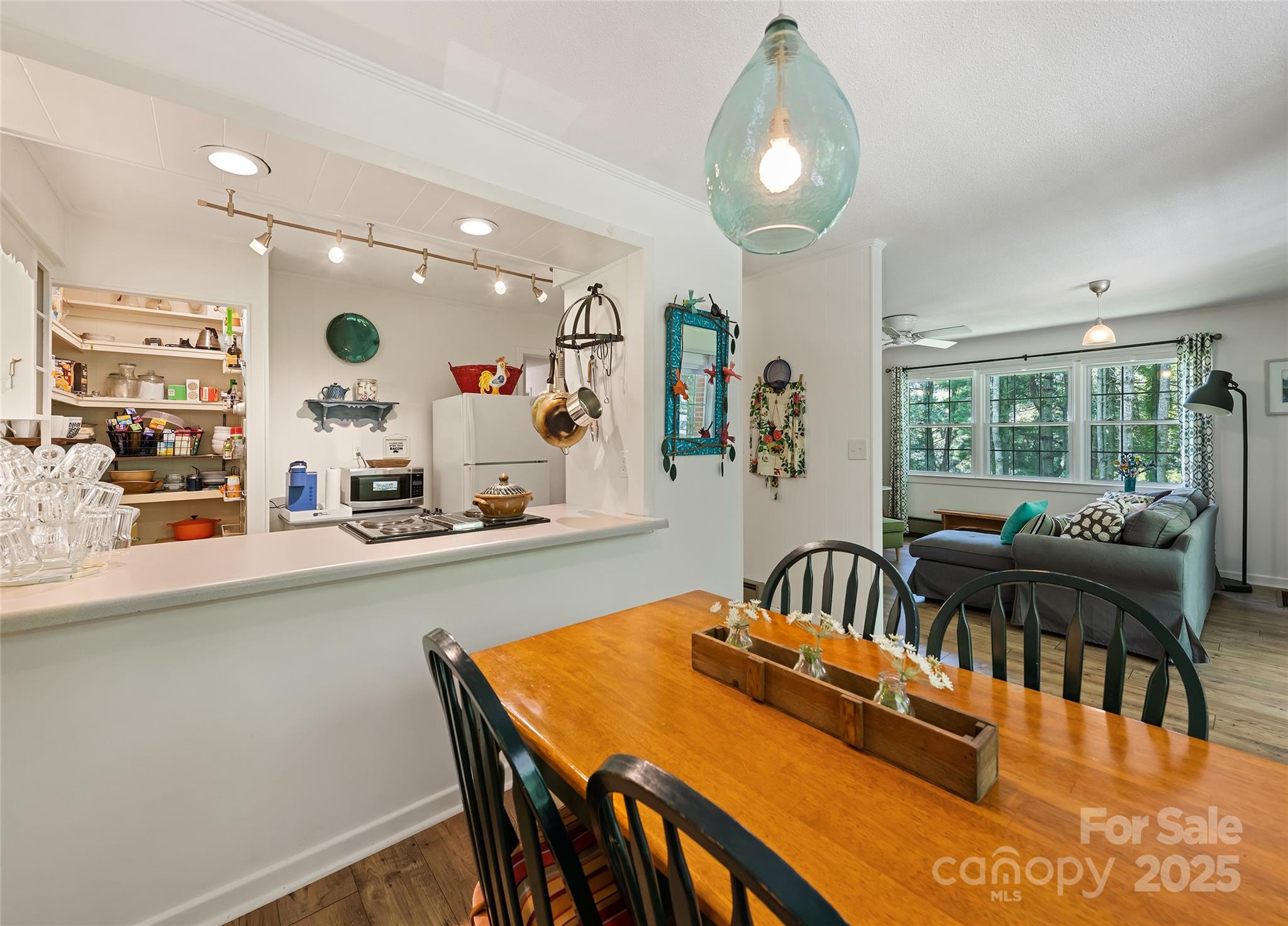 975 Buchanan Loop Sylva, NC 28779 - Photo 10 of 41 Gallery Image 10