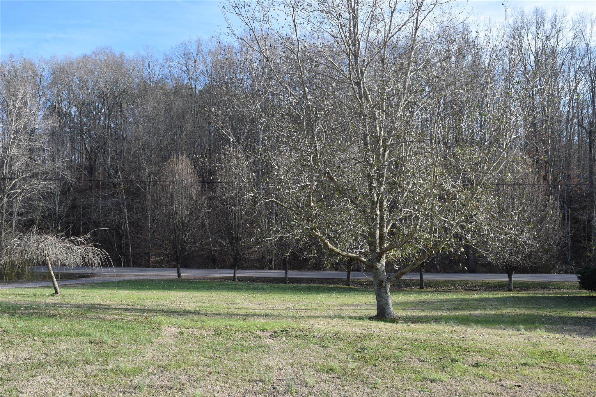 7418 Liberty Road Fairview, TN 37062 - Photo 16 of 18 a view of outdoor space
