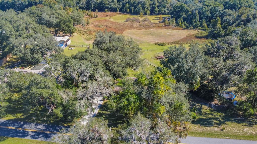 4893 South Old Floral City Road Inverness, FL 34450 - Photo 28 of 31 a view of a yard with plants and large trees