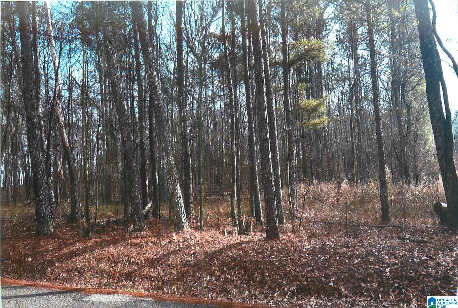 0 Walkers Crossing Road Pell City, AL 35128 - Photo 3 of 6