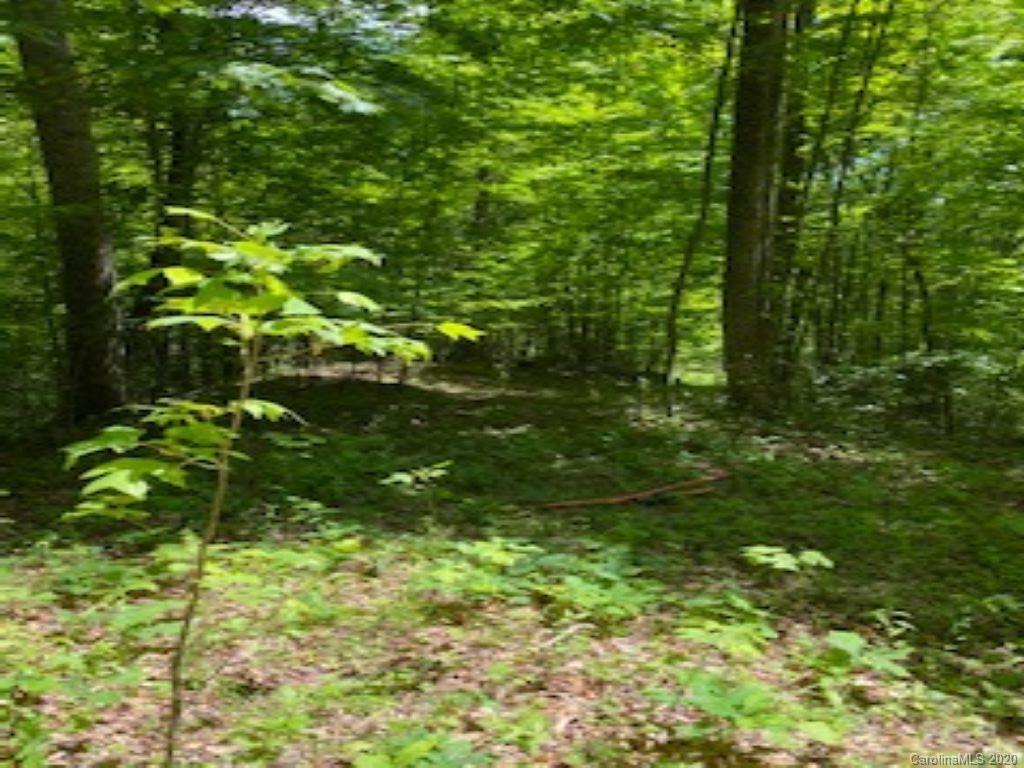0 Roaring Fork Road Mars Hill, NC 28754 - Photo 5 of 8 Gallery Image 5