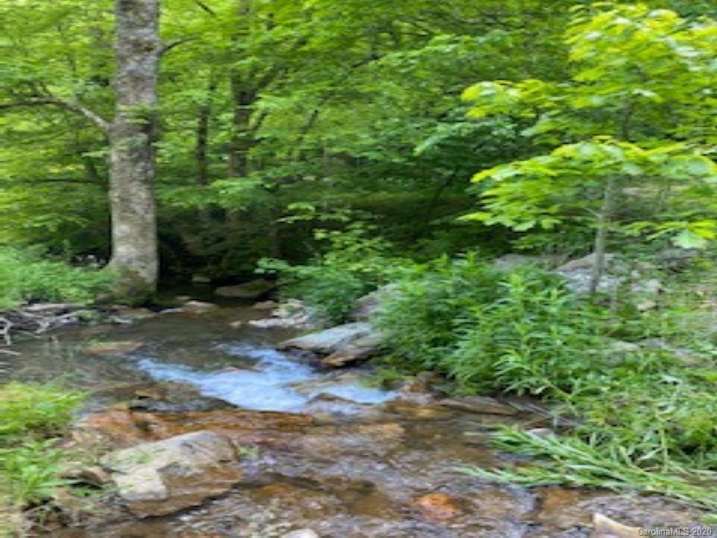 0 Roaring Fork Road Mars Hill, NC 28754 - Photo 8 of 8 Gallery Image 8