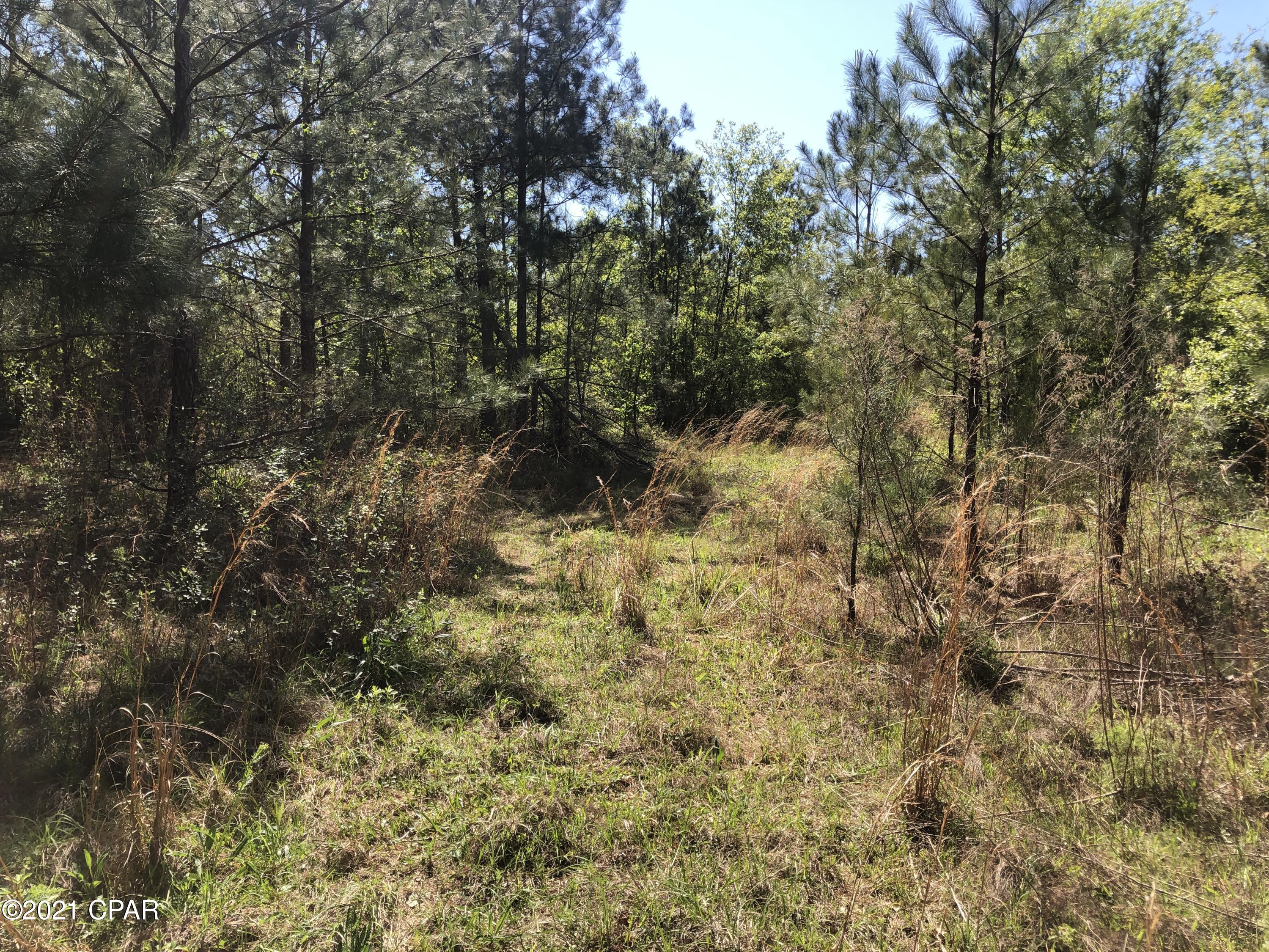 0 Mill Road Cottondale, FL 32431 - Photo 11 of 12