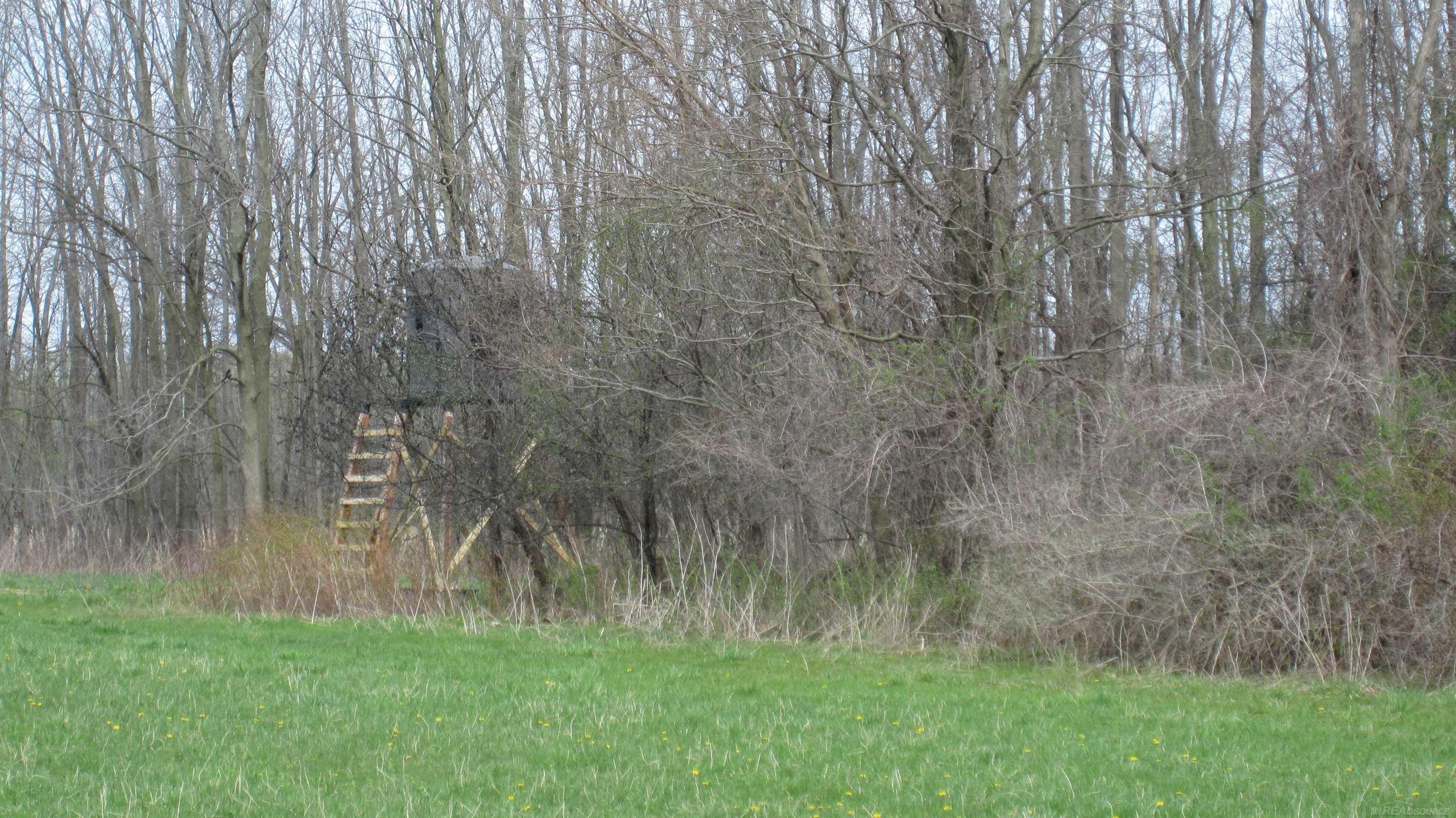 1-vl Jeddo Road Avoca, MI 48006 - Photo 4 of 18