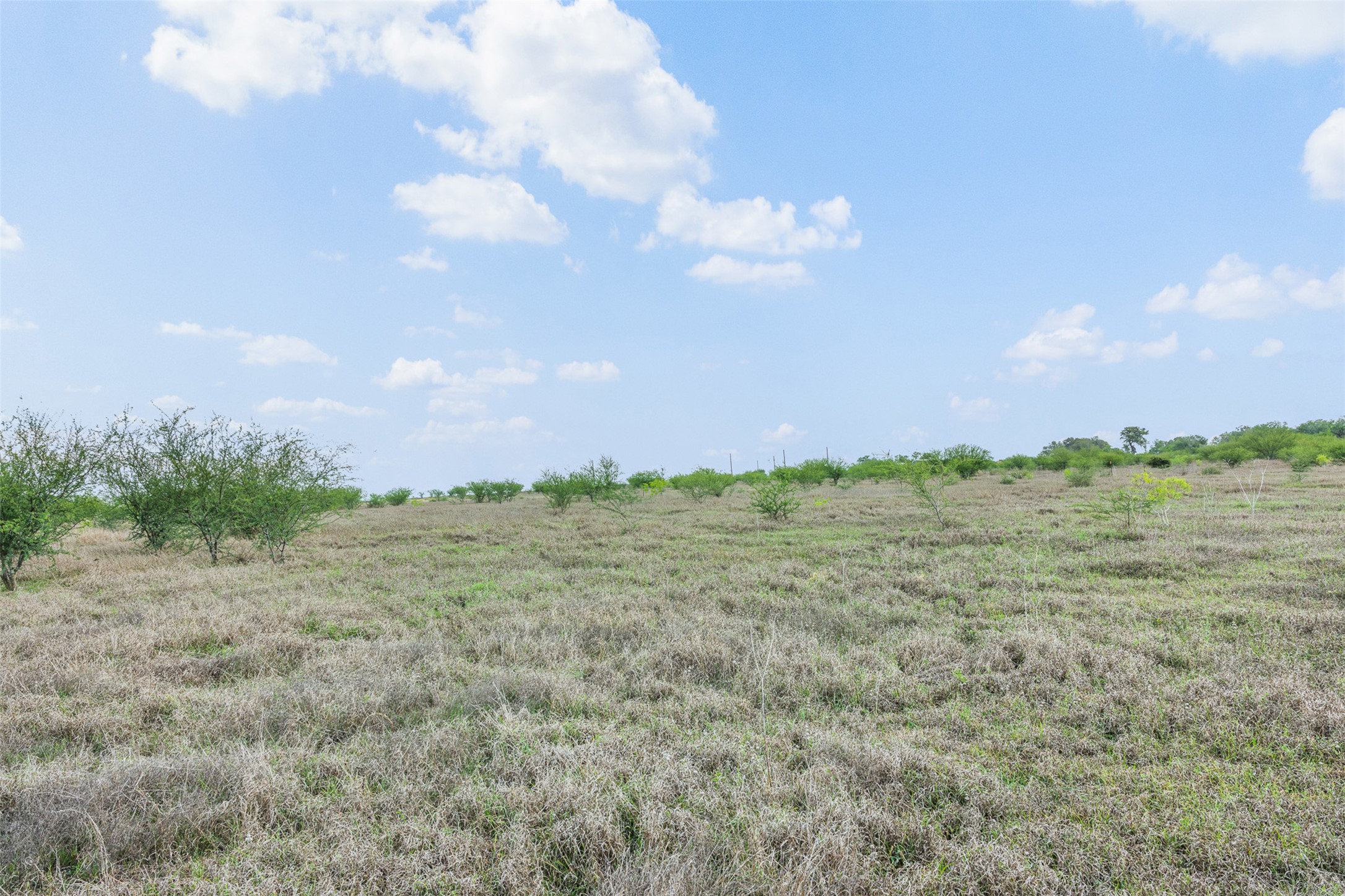 11.15-acres Concrete-Edgar Road Cuero, TX 77954 - Photo 2 of 8 a view of a big yard with swimming pool and mountain view