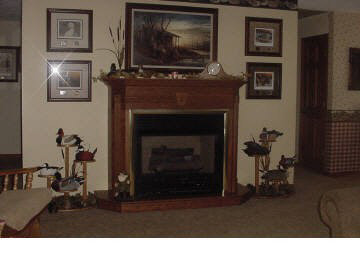 4485 Moake School Road Marion, IL 62959 - Photo 8 of 10 Gallery Image 8