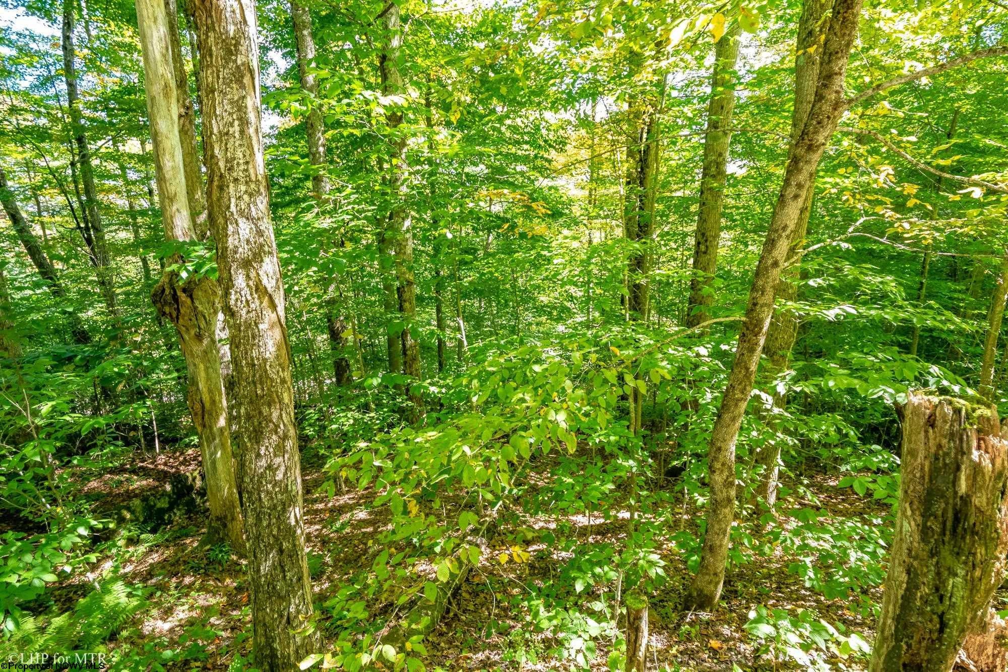 125 Northpoint Way Davis, WV 26260 - Photo 16 of 21 Gallery Image 16