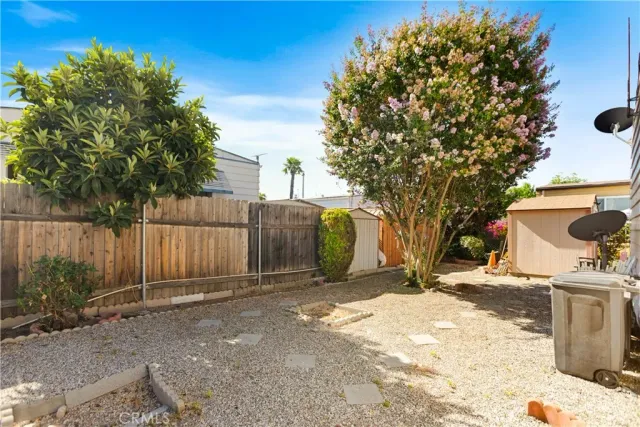 a view of a backyard with wooden fence and a large tree