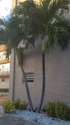 a view of a interior of the house