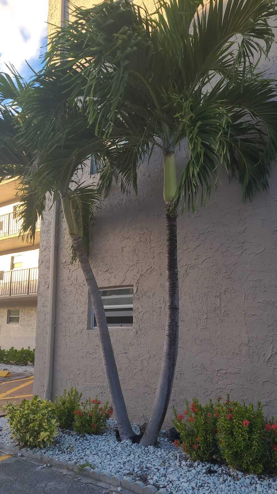 725 Lori Drive, Unit 406 Palm Springs, FL 33461 - Photo 15 of 40 a view of a interior of the house