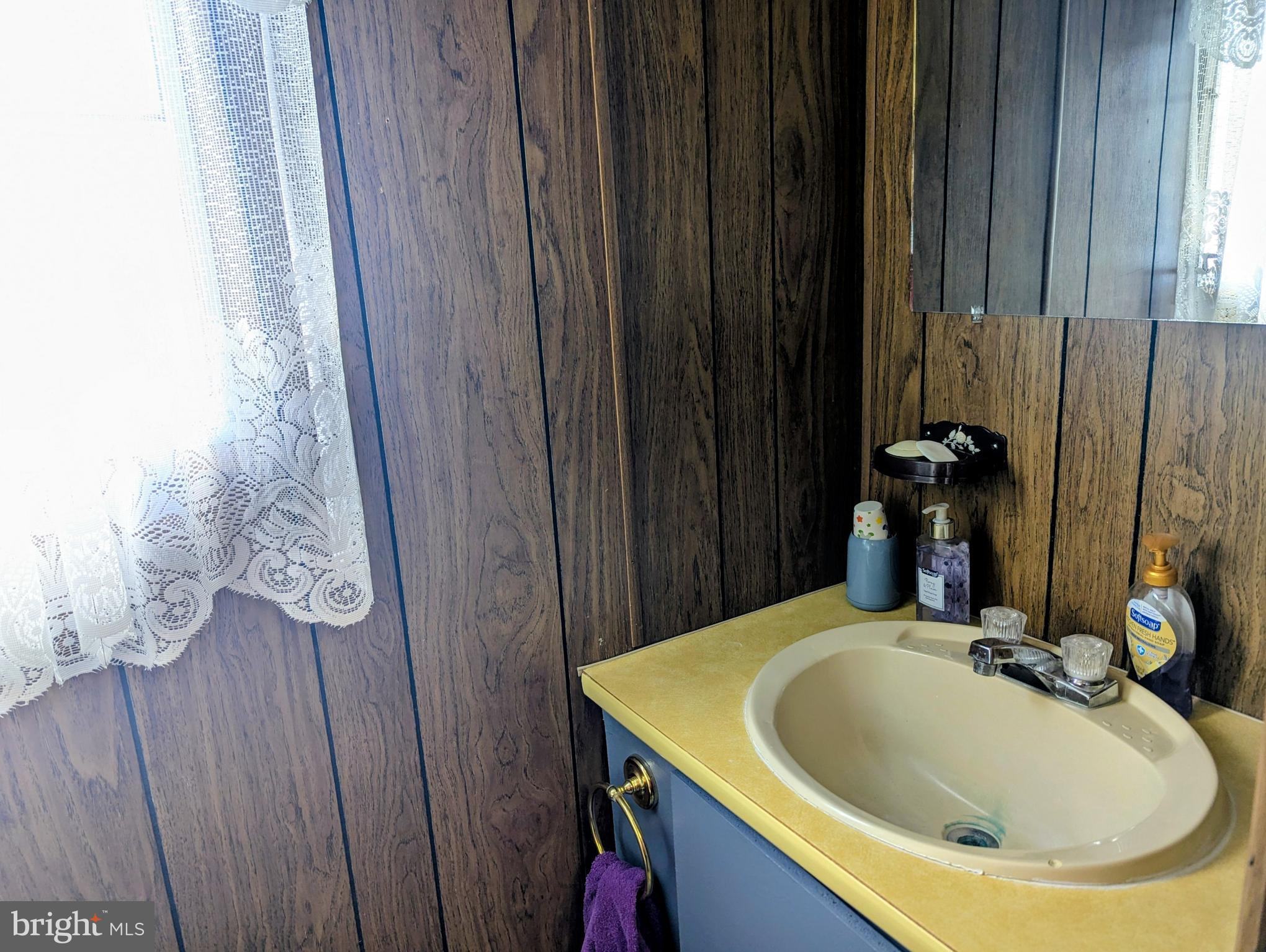 33501 Grape Street Millsboro, DE 19966 - Photo 18 of 38 a bathroom with a sink and a mirror