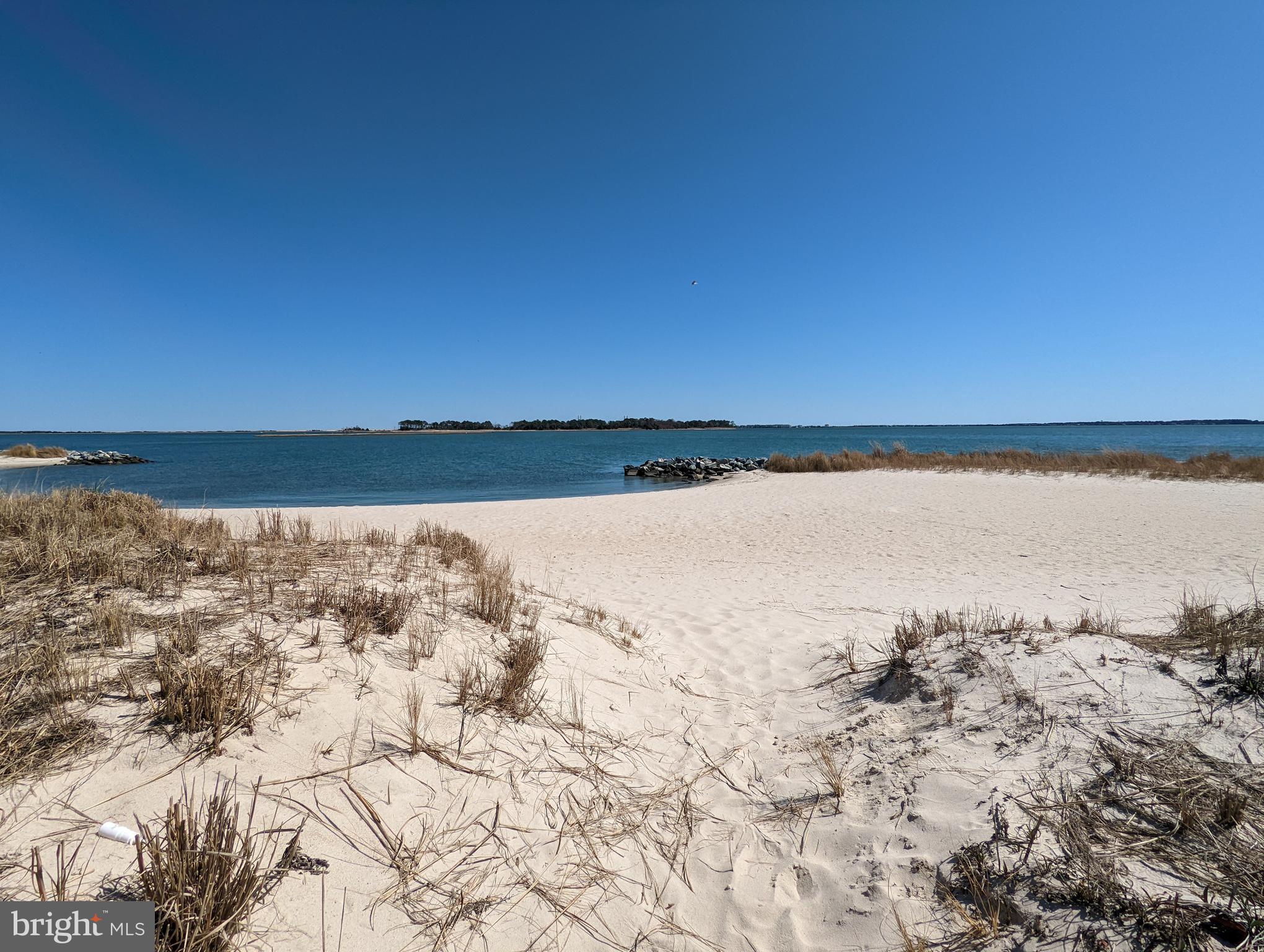 33501 Grape Street Millsboro, DE 19966 - Photo 27 of 38 a view of lake view and mountain in the back