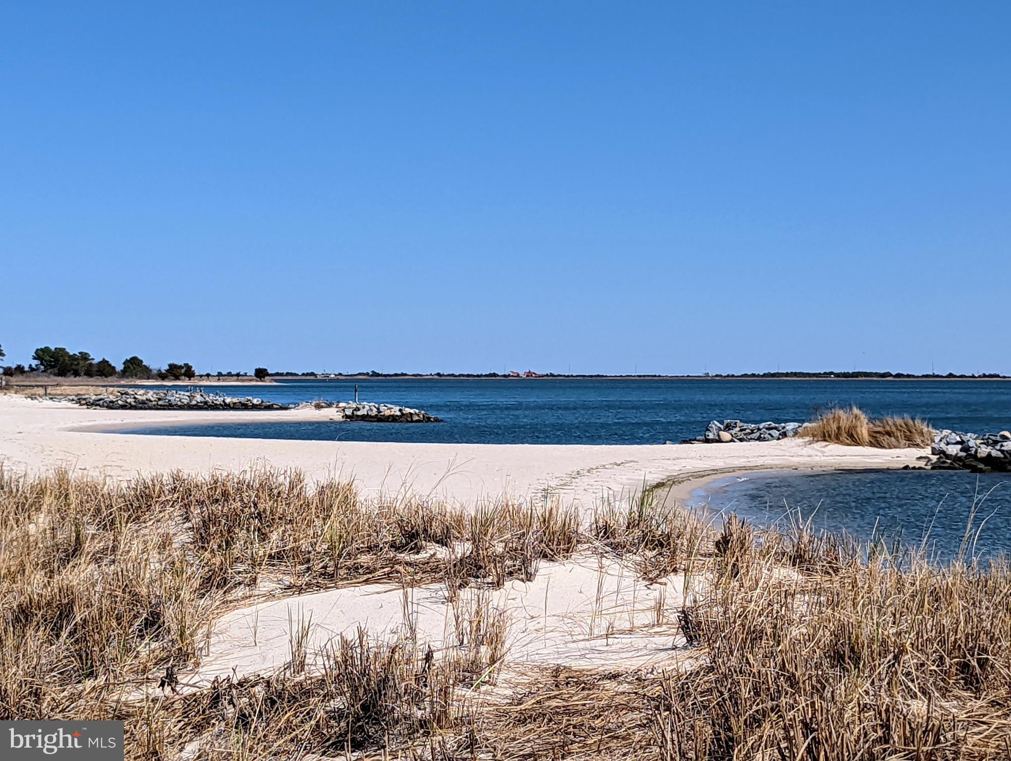 33501 Grape Street Millsboro, DE 19966 - Photo 30 of 38 a view of ocean view with boat and trees in the background