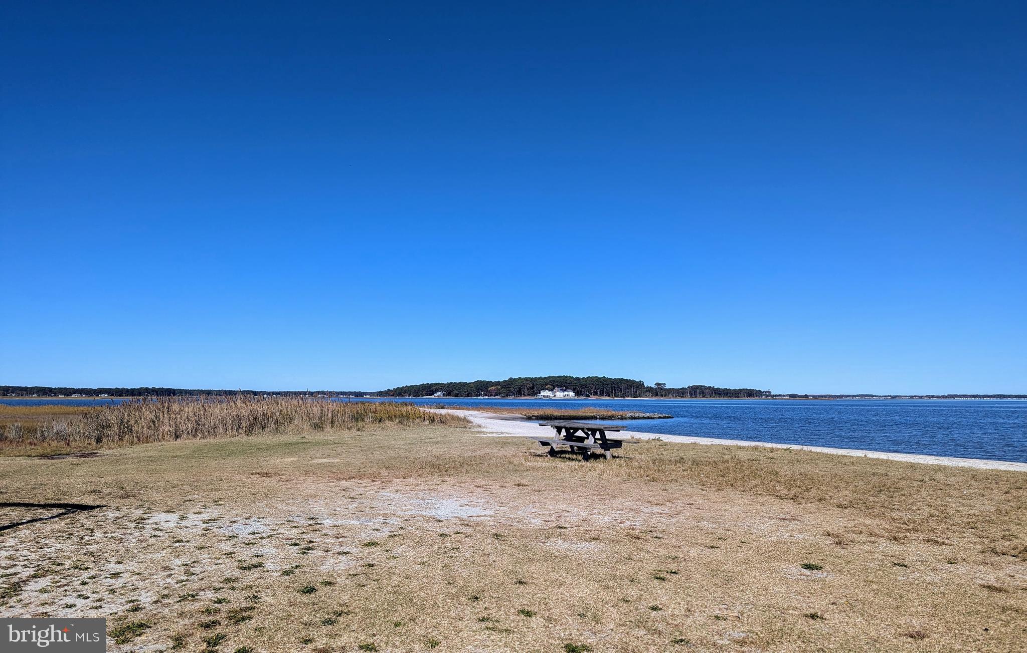 33501 Grape Street Millsboro, DE 19966 - Photo 36 of 38 a view of beach and ocean view