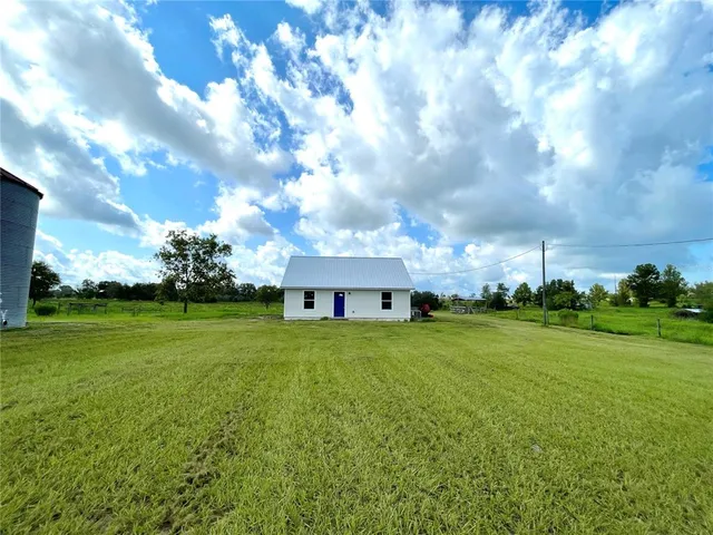 a view of a big yard with plants and a large tree