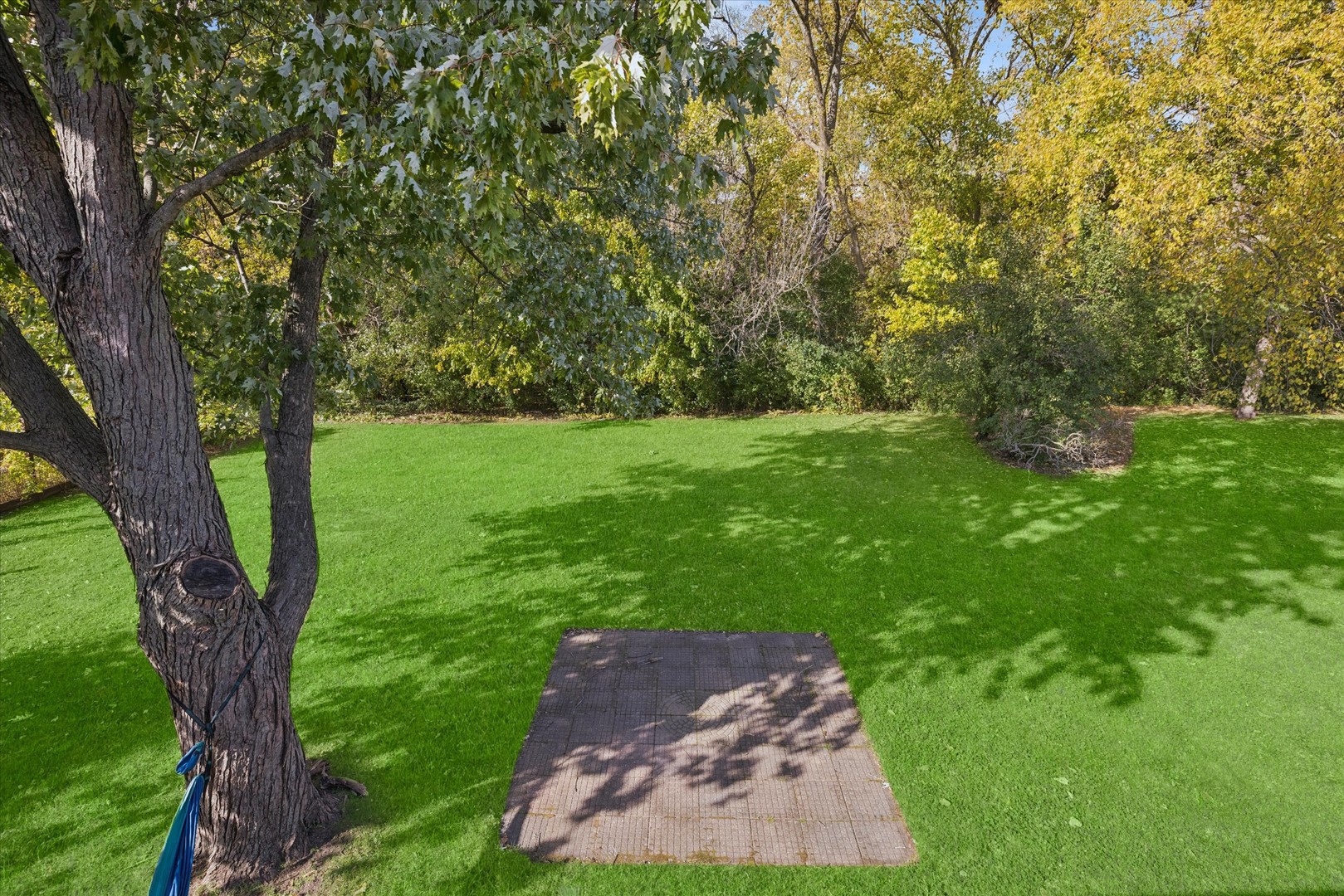 722 McHenry Avenue, Unit B Crystal Lake, IL 60014 - Photo 13 of 14 a view of yard with green space