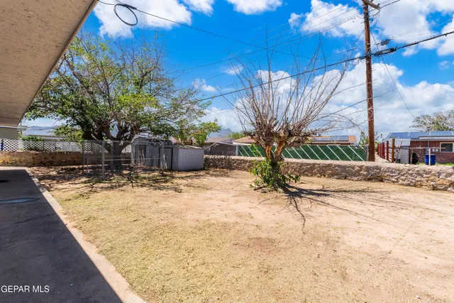 a view of a yard with a tree