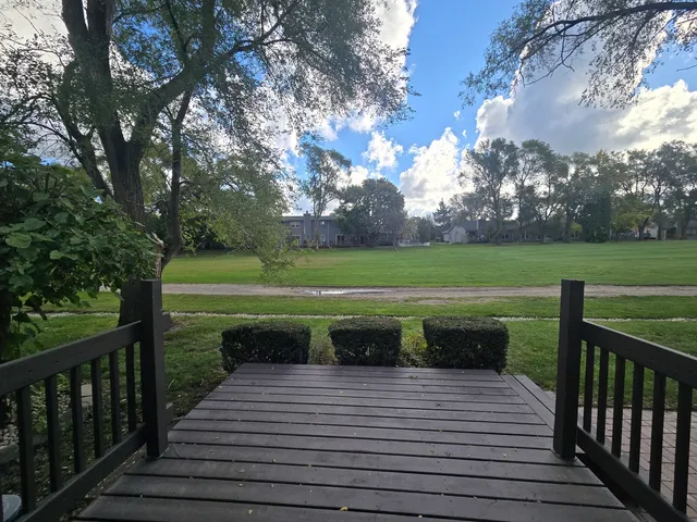 a view of a house with a yard and a large tree