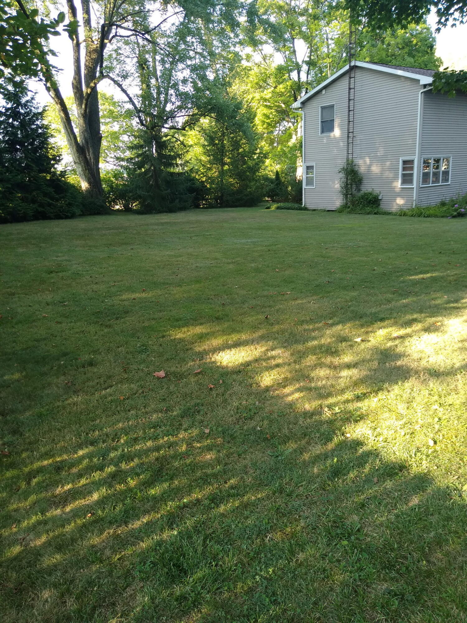 61100 Quinnesec Road Cassopolis, MI 49031 - Photo 42 of 46 HOMEOWNER'S PERSONAL PHOTOS