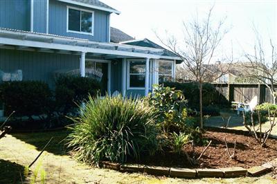 2301 Cotton Court Santa Rosa, CA 95401 - Photo 10 of 10 Beautifully landscaped back yard with mature roses.