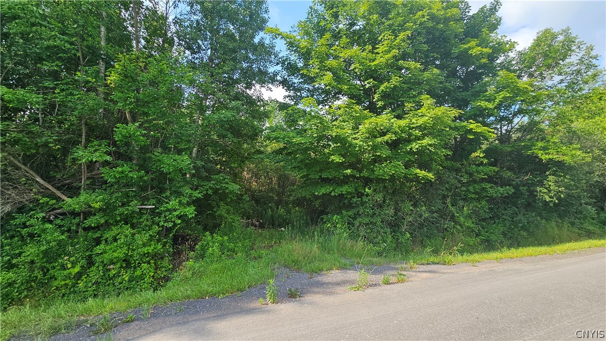 0 Patten Road Lowville, NY 13367 - Photo 4 of 6