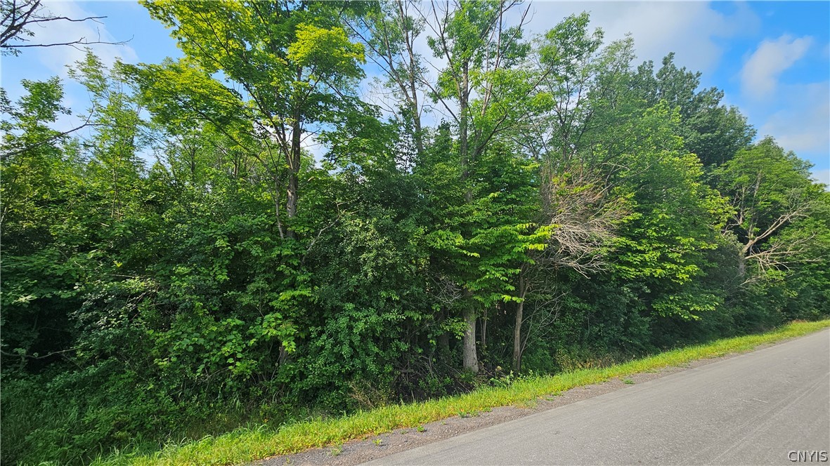 0 Patten Road Lowville, NY 13367 - Photo 6 of 6