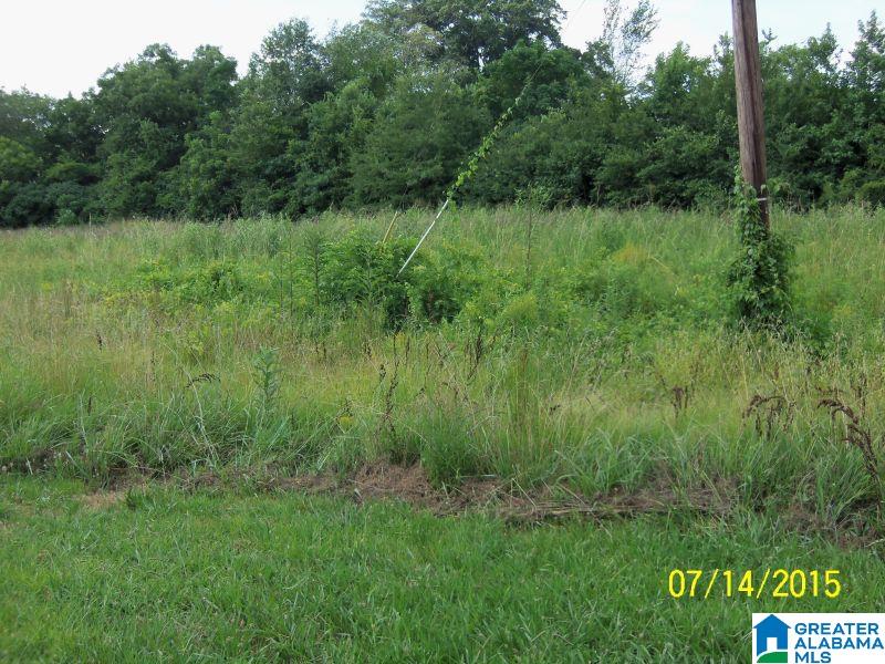 1825 Old Choccolocco Road Anniston, AL 36207 - Photo 17 of 22