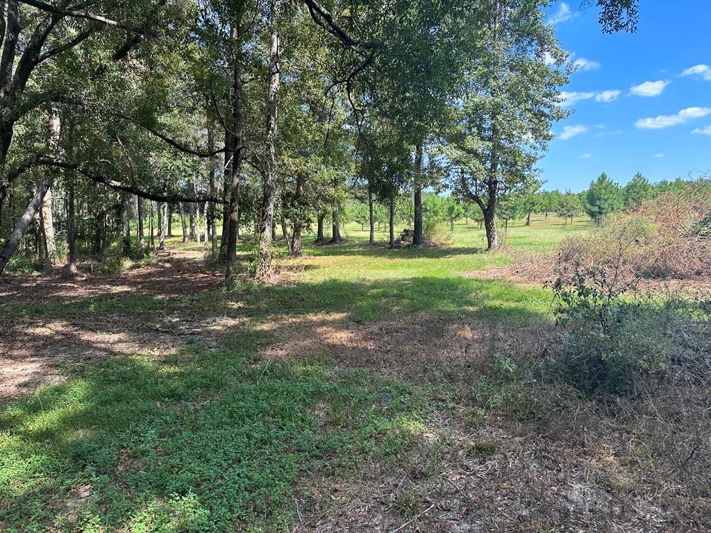 1454 Middleton Road Dothan, AL 36301 - Photo 17 of 21