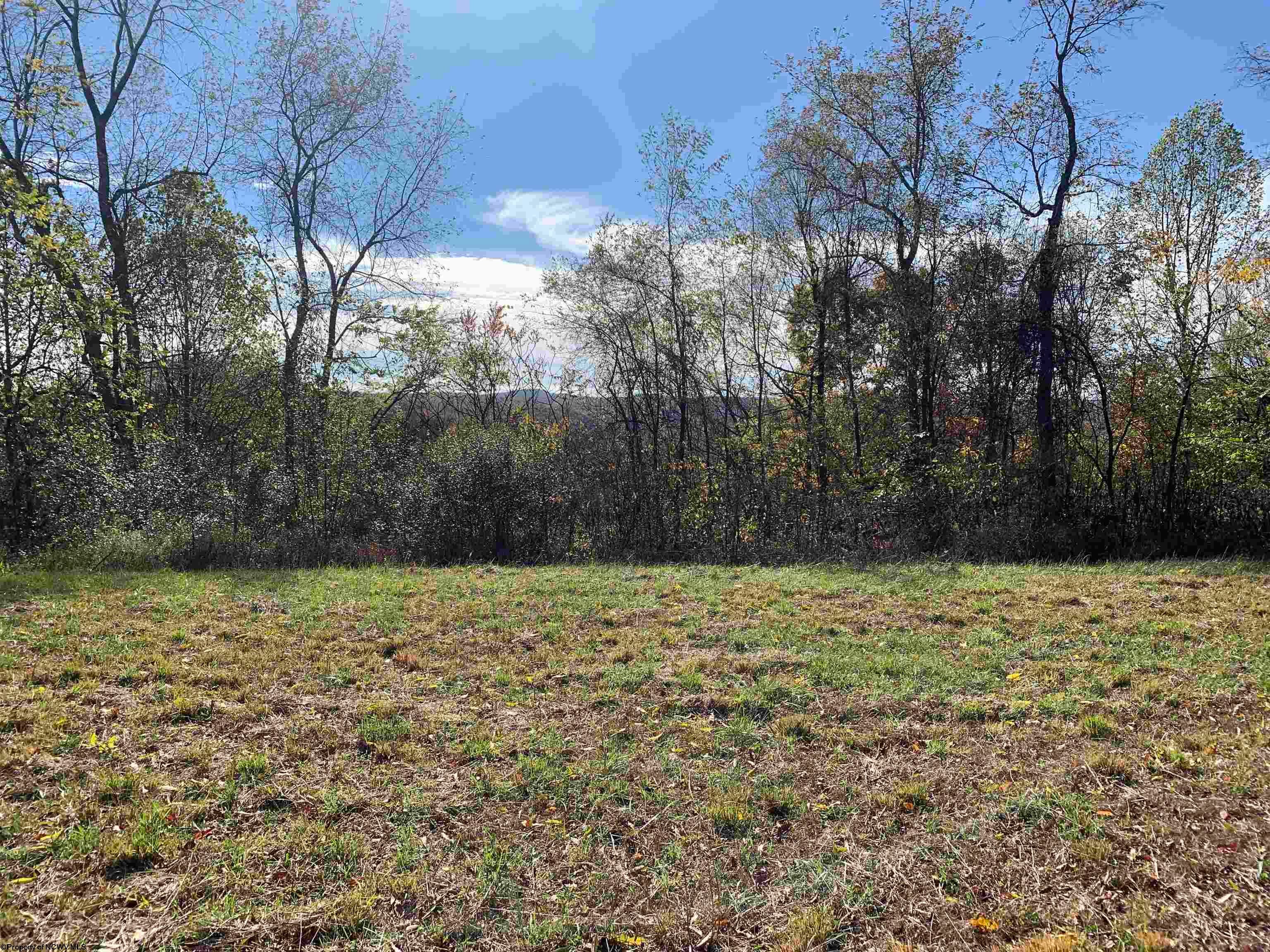 2208 Arden Road Philippi, WV 26416 - Photo 13 of 24 Gallery Image 13