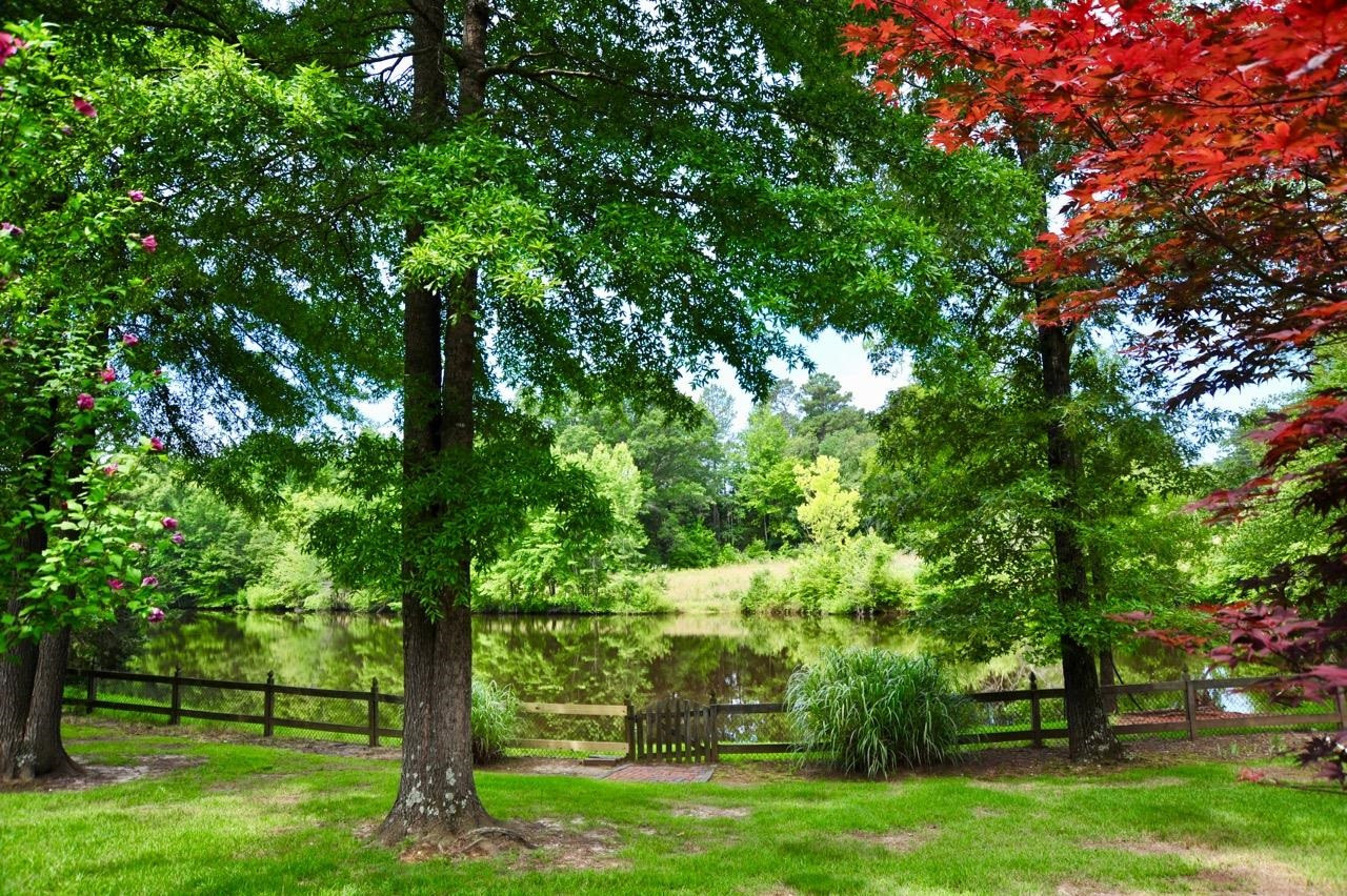 4615 Rapids Lane Durham, NC 27705 - Photo 6 of 46 Photo 6