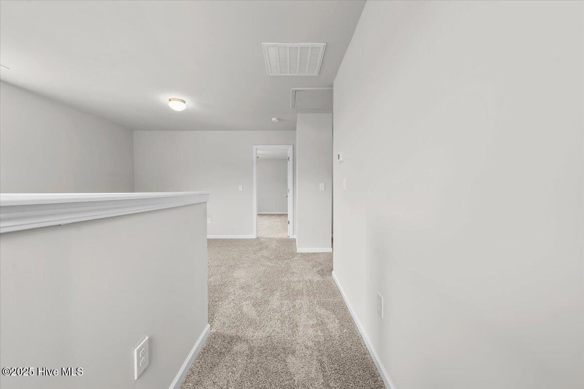 255 Deep River Road Aberdeen, NC 28315 - Photo 19 of 38 Fay_TaizRidge_255DeepRiverRd_Lot6 (19)