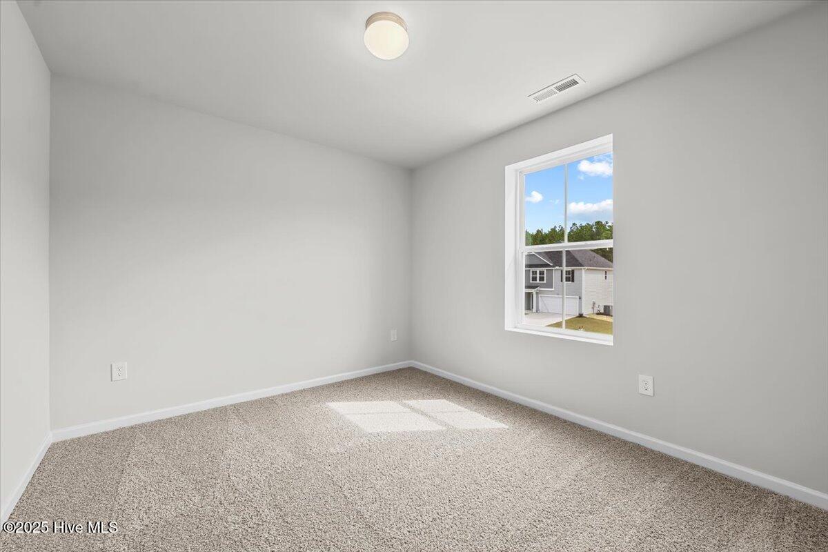 255 Deep River Road Aberdeen, NC 28315 - Photo 30 of 38 Fay_TaizRidge_255DeepRiverRd_Lot6 (30)