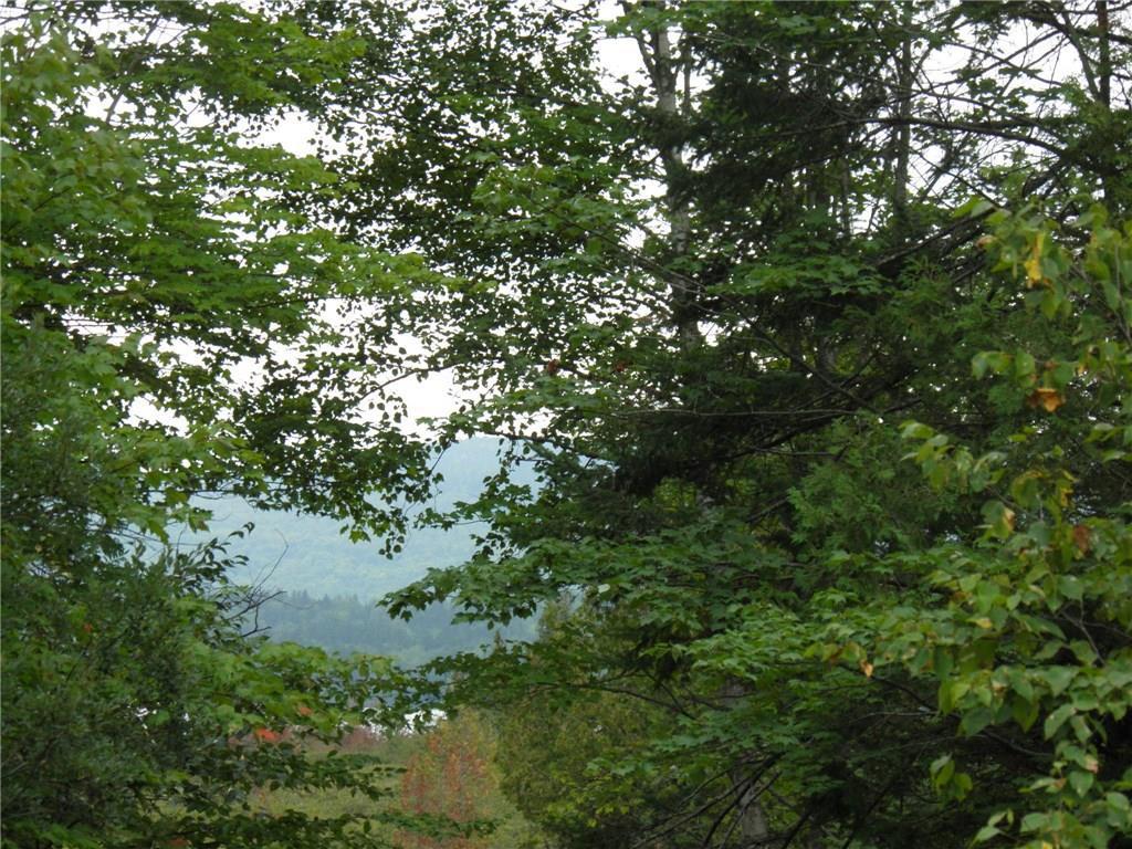 0 Beaver Mountain Road Southwest Sandy River Plt, ME 04970 - Photo 2 of 31 Photo