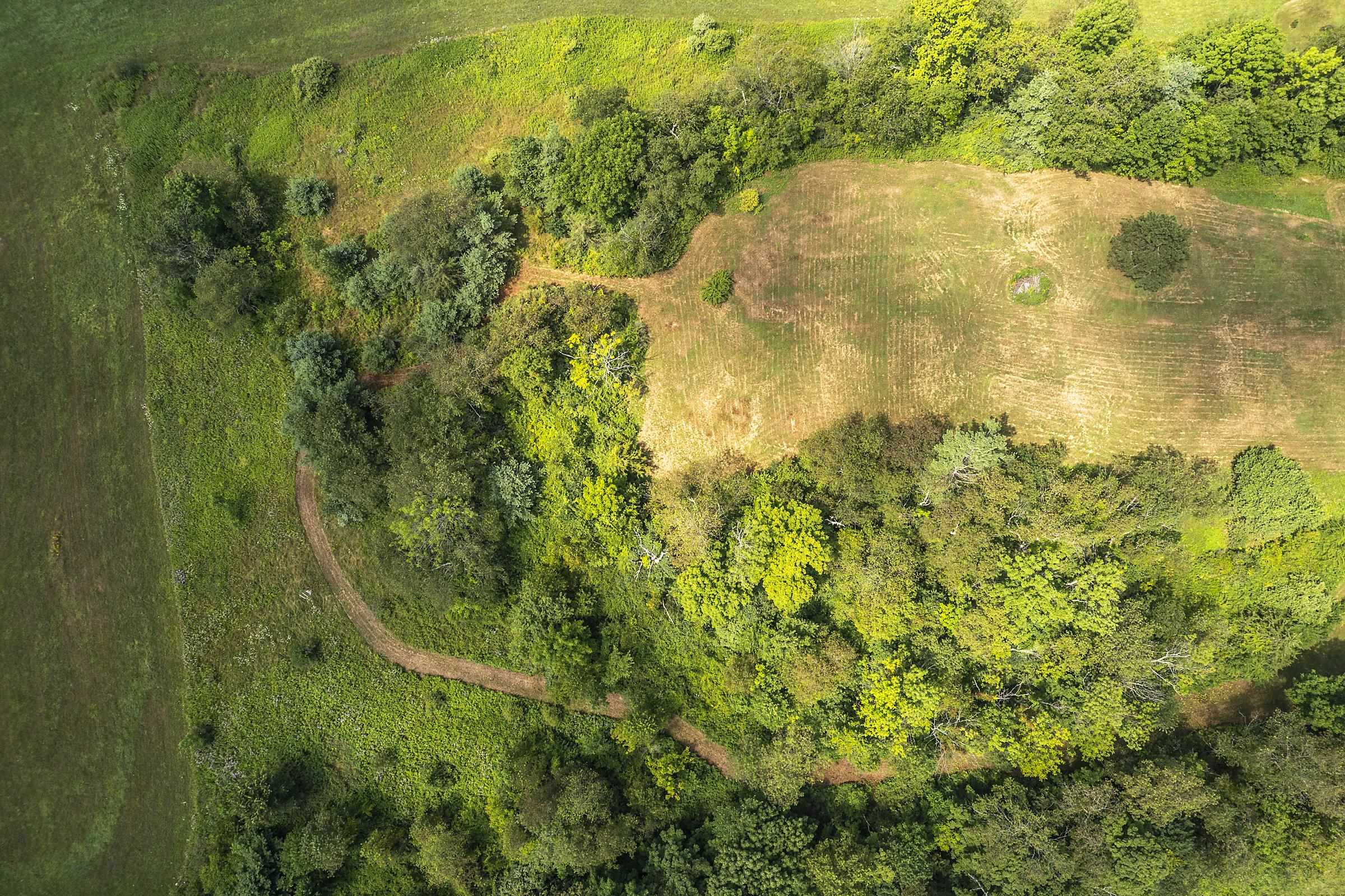 1688 Waite Hill Road Pawlet, VT 05761 - Photo 50 of 56