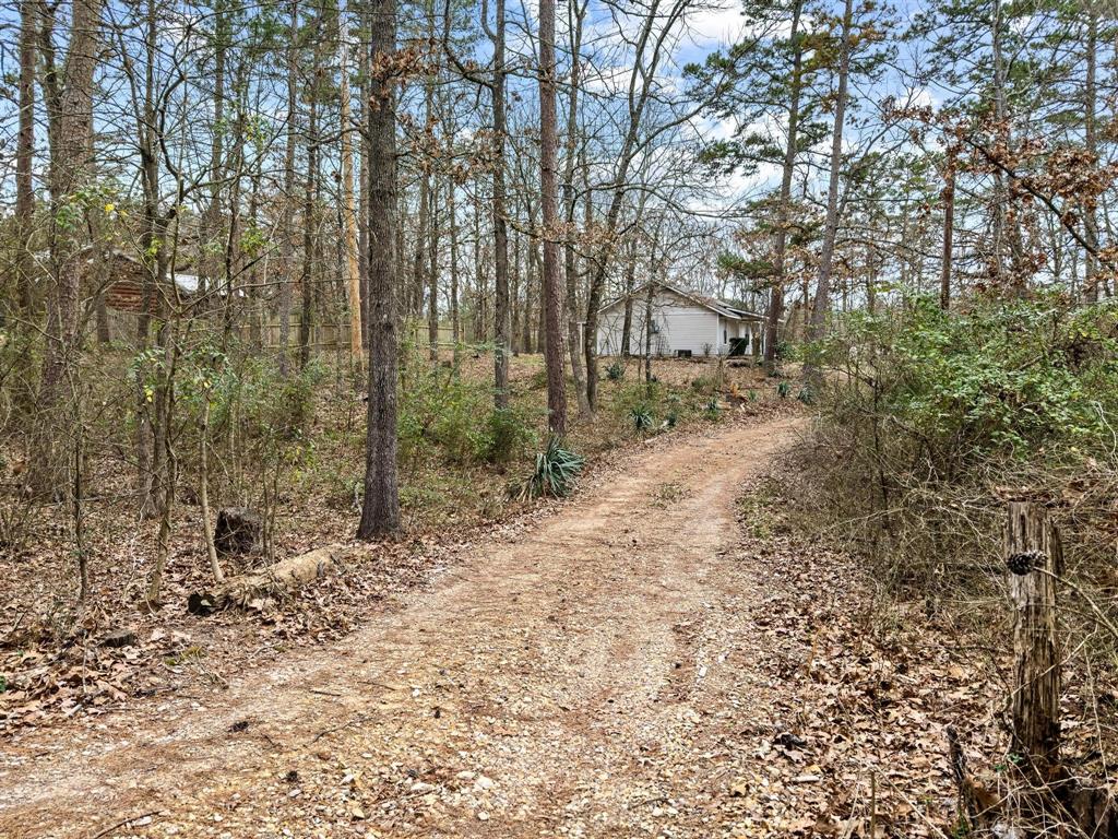 206 County Road Powderly, TX 75473 - Photo 30 of 31