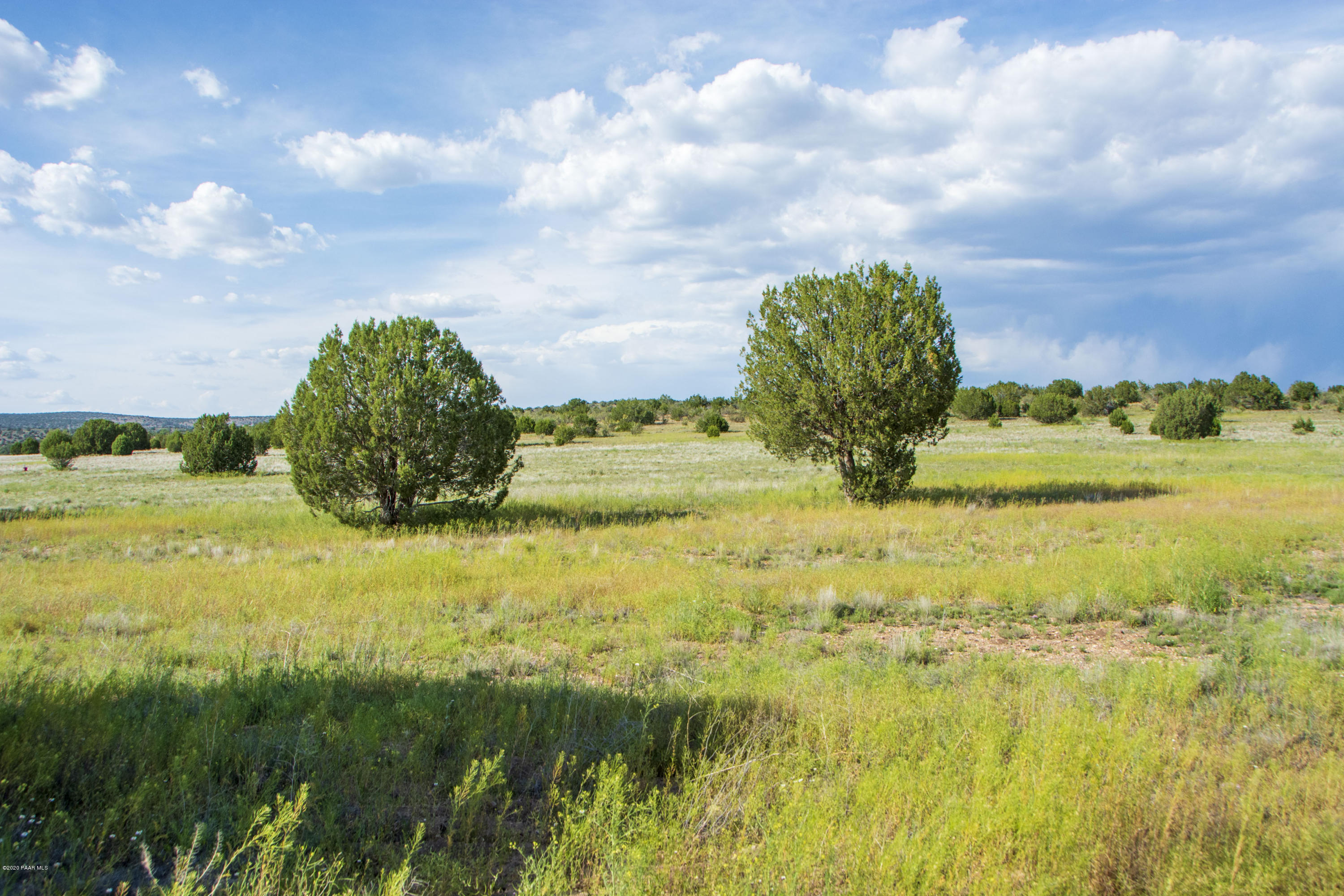 12-x2 East 12-x2 E Cougar Ridge Road Paulden, AZ 86334 - Photo 8 of 12 DSC_7620
