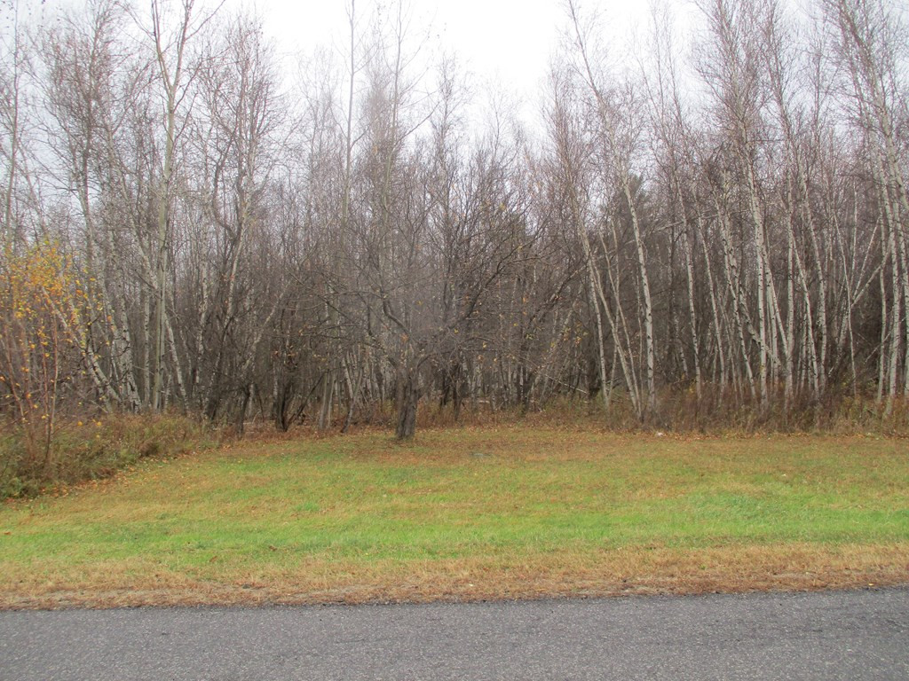 0 Barrett Road Brushton, NY 12916 - Photo 2 of 2