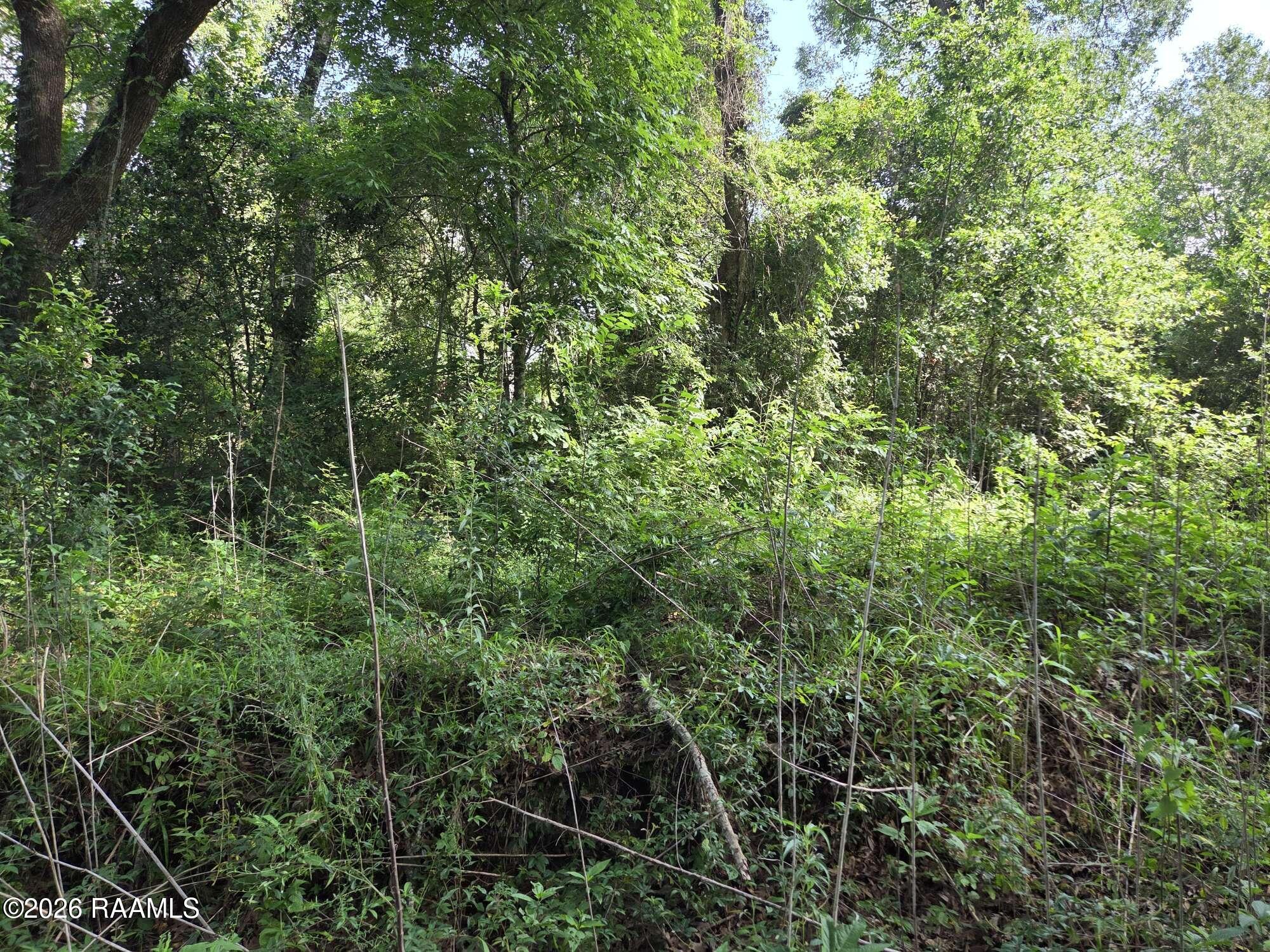 2480 Savoy Road Youngsville, LA 70592 - Photo 3 of 4 Compress_20260619_114445_5085