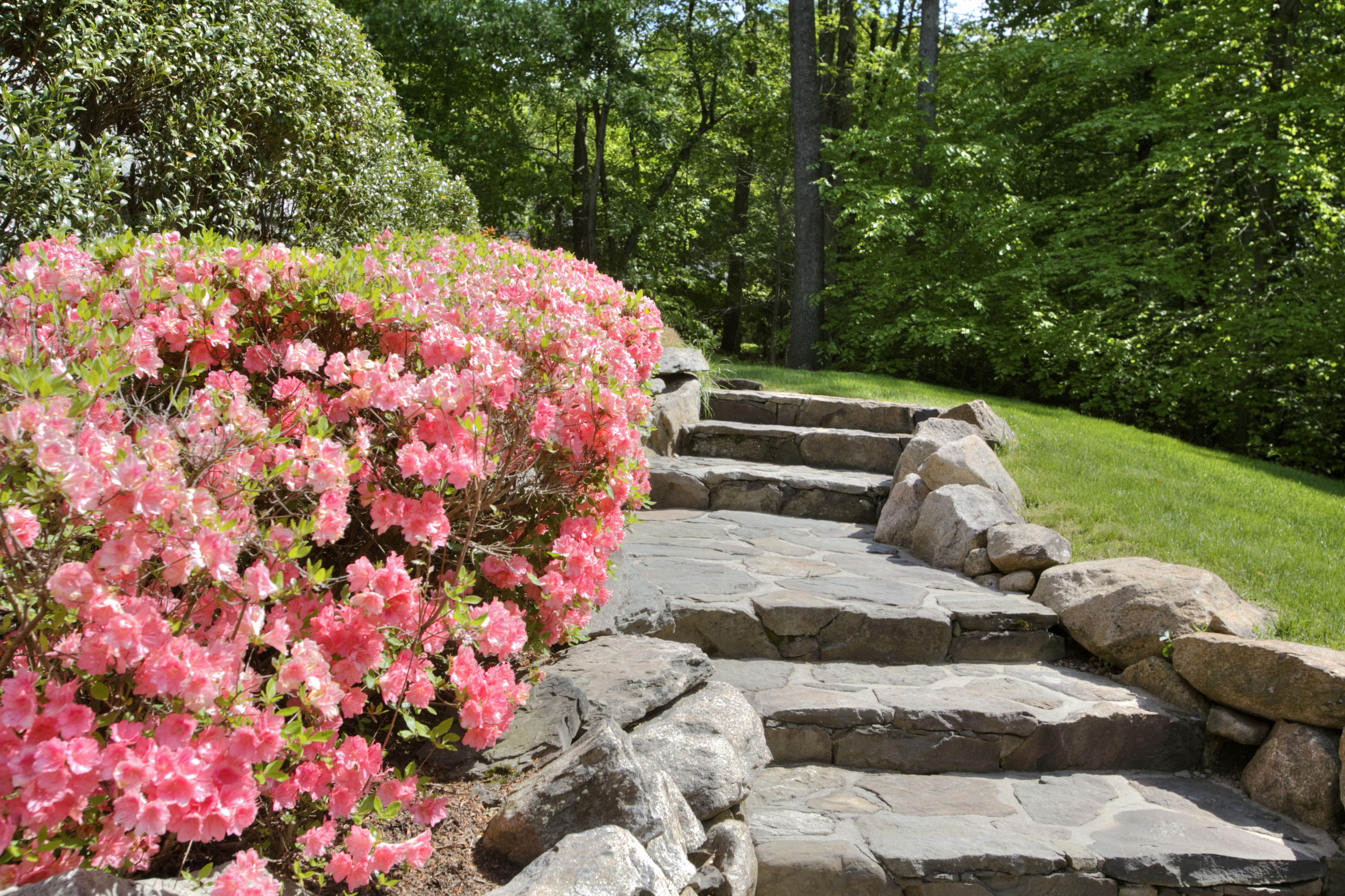 786 Cheese Spring Road New Canaan, CT 06840 - Photo 30 of 36 a view of a garden with flowers