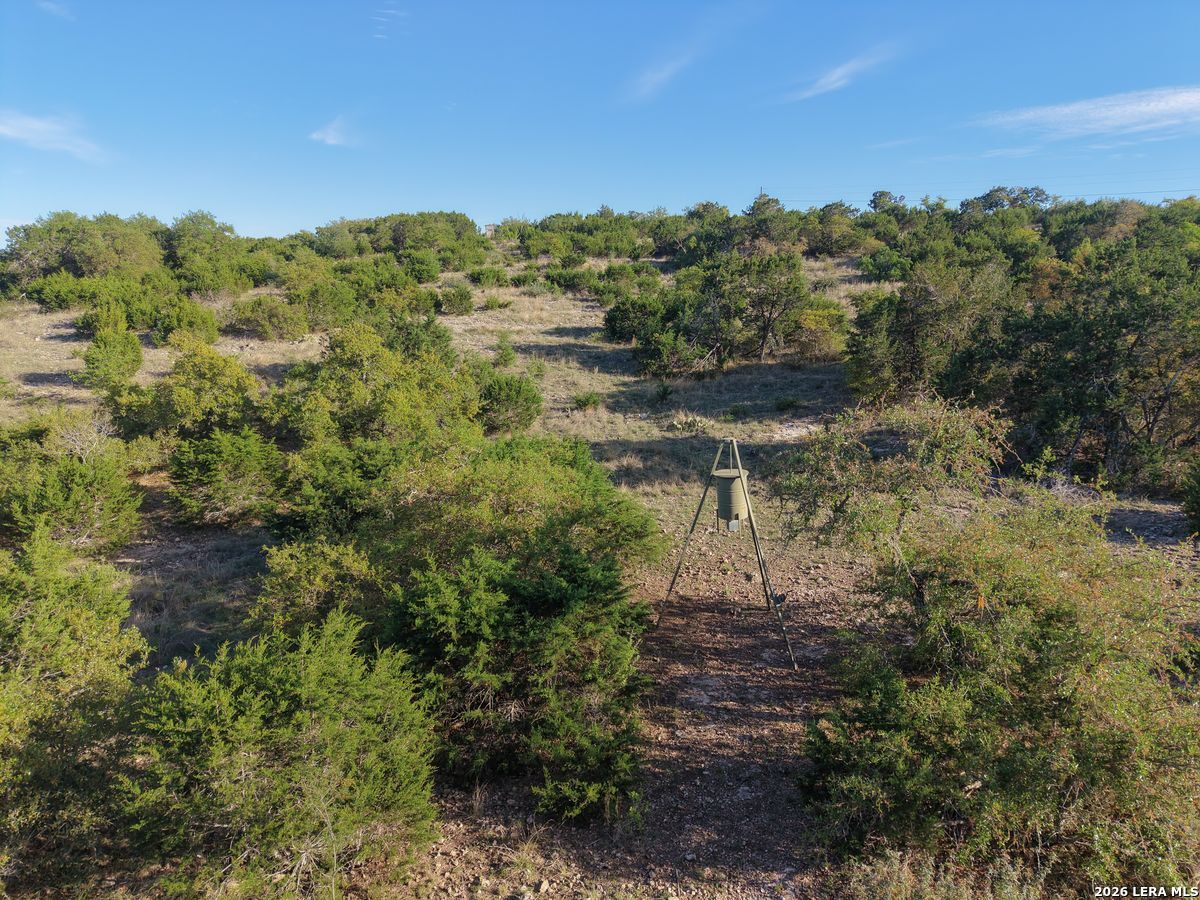 870 Rocky Top Road Southwest Hunt, TX 78024 - Photo 16 of 28 a view of a yard with a tree