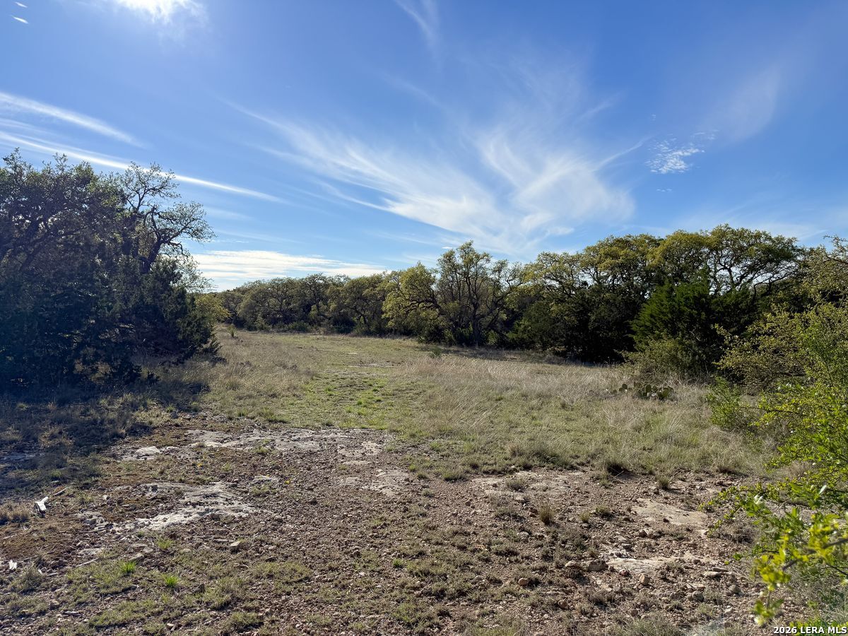 870 Rocky Top Road Southwest Hunt, TX 78024 - Photo 2 of 28 a view of a yard with a tree