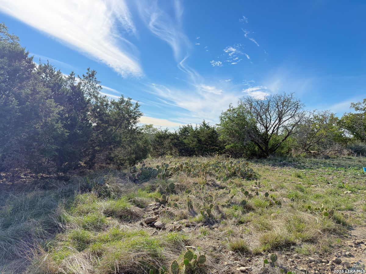 870 Rocky Top Road Southwest Hunt, TX 78024 - Photo 22 of 28 a view of a yard